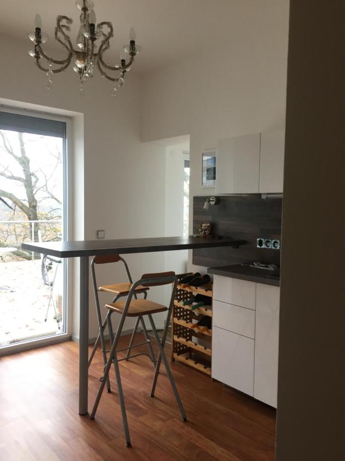 Apartman - D - Vyhlidka Nad Rekou Zdiby Buitenkant foto