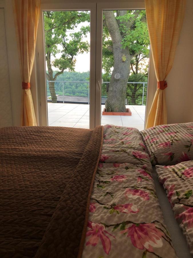 Apartman - D - Vyhlidka Nad Rekou Zdiby Buitenkant foto