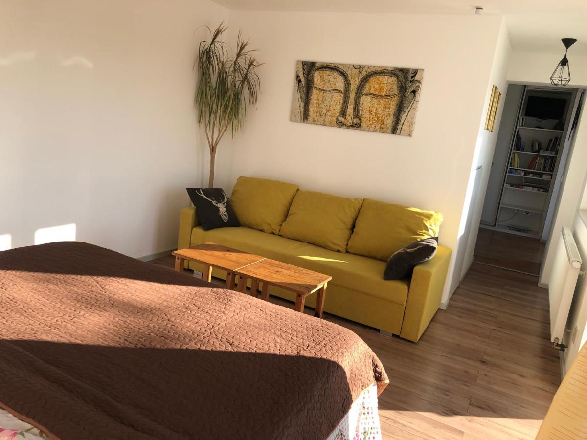 Apartman - D - Vyhlidka Nad Rekou Zdiby Buitenkant foto